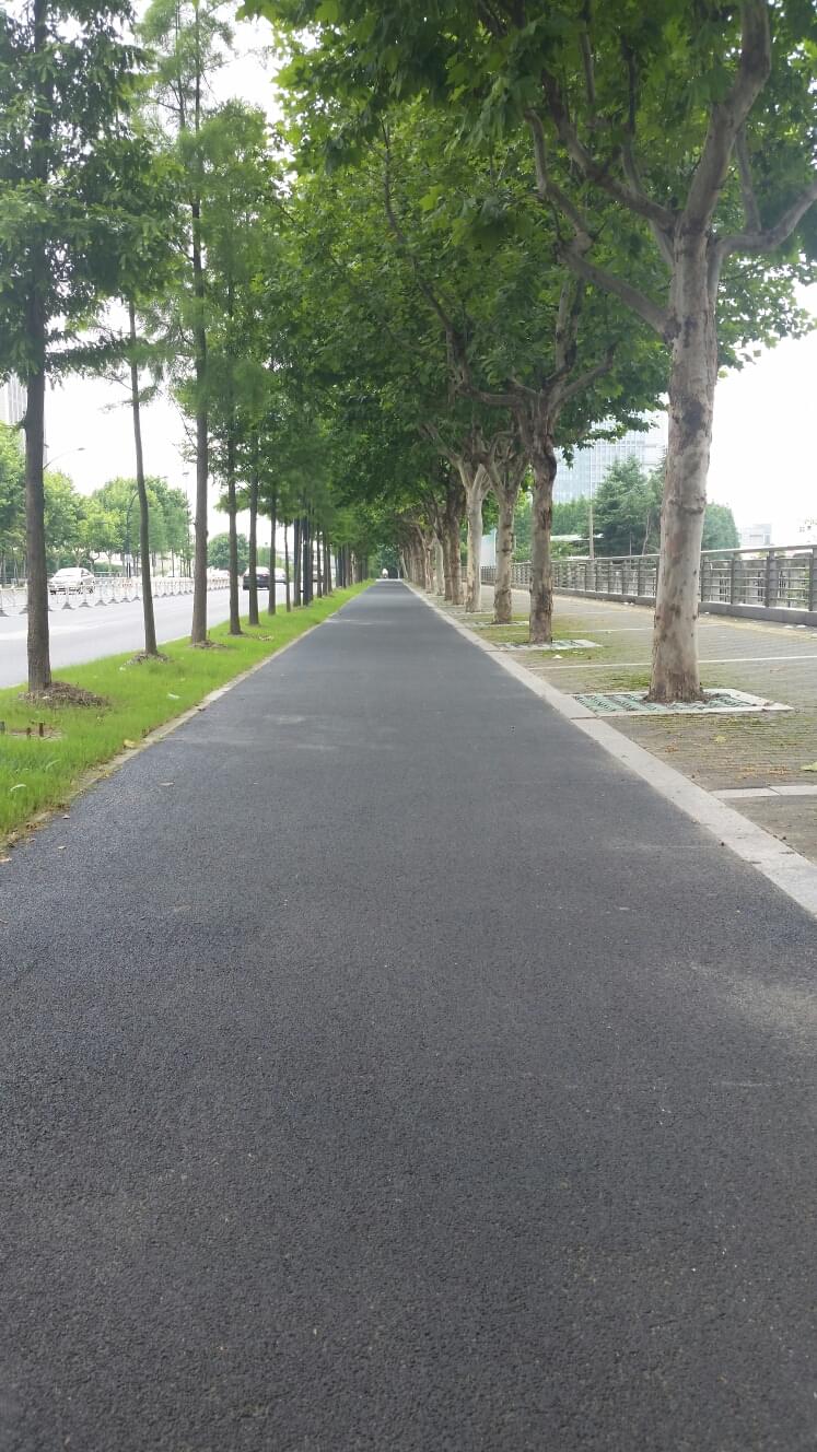 葉城路-2 .jpg 葉城路-2 .jpg