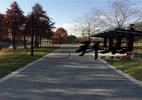 {0AB87FFB-39A0-1448-06AE-852CDCABF4E3}.jpg {0AB87FFB-39A0-1448-06AE-852CDCABF4E3}.jpg