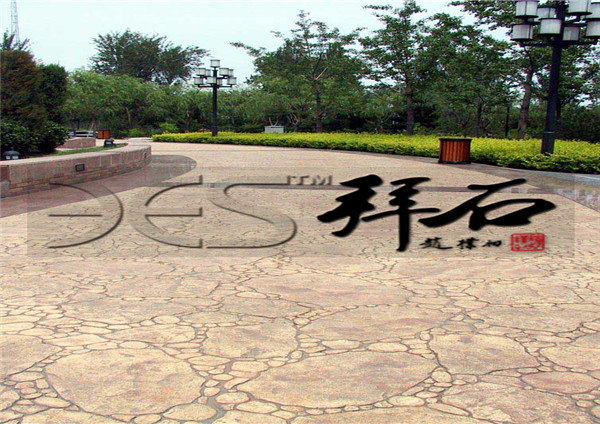 13-1325-510699.jpg 13-1325-510699.jpg