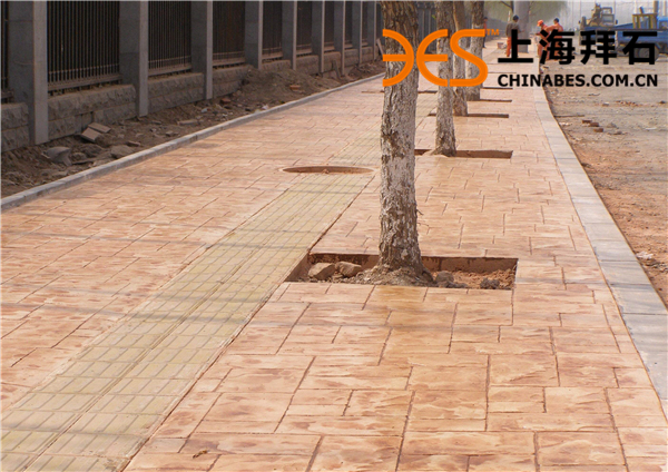 timg (1).jpg timg (1).jpg