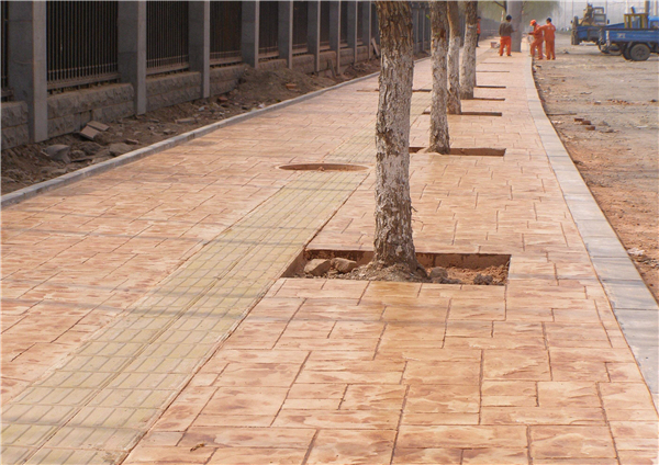 timg (1).jpg timg (1).jpg