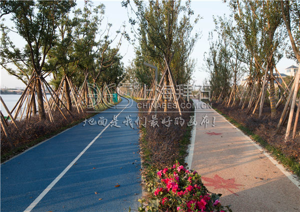 露骨料透水路面 露骨料透水路面