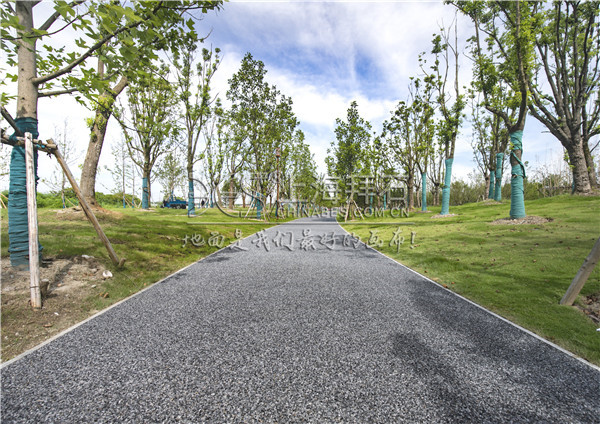 露骨料透水路面 露骨料透水路面