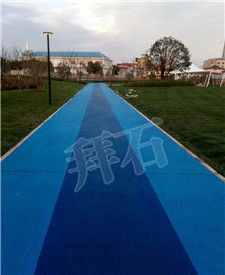 上海張江主題公園透水混凝土工程 上海張江主題公園透水混凝土工程