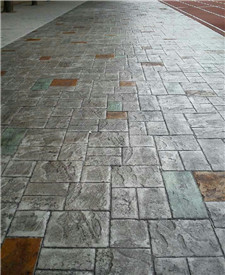 大同學校路面改造工程 大同學校路面改造工程