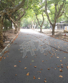 浙江大學西溪校區 浙江大學西溪校區