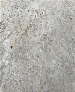 上海廣富林遺址公園壓花地坪項目 上海廣富林遺址公園壓花地坪項目