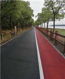 上海浦江郊野公園彩色透水混凝土工程項目 上海浦江郊野公園彩色透水混凝土工程項目