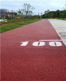 上海浦東聽潮路彩色透水地坪項目 上海浦東聽潮路彩色透水地坪項目