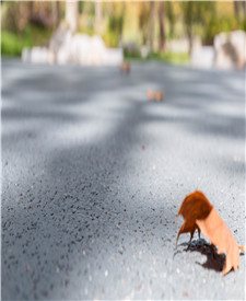 上海寶山臨江公園透水地坪項目 上海寶山臨江公園透水地坪項目