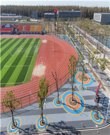 上海臨港電力學(xué)院透水混凝土項(xiàng)目 上海臨港電力學(xué)院透水混凝土項(xiàng)目